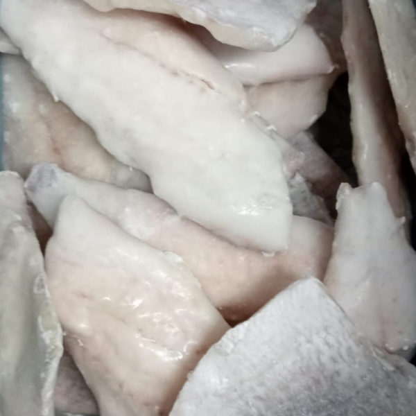 Dentex fillet (Dentex dentex)