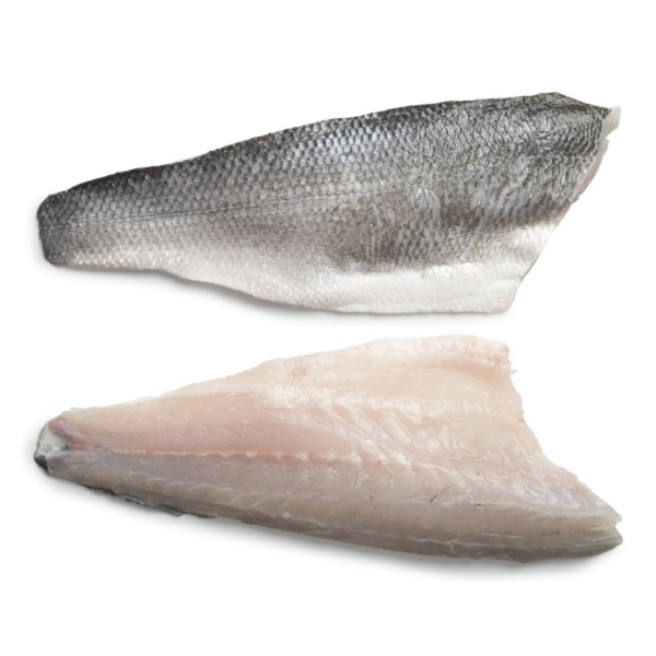 Seabass fillet (Dicentrarchus Labrax)
