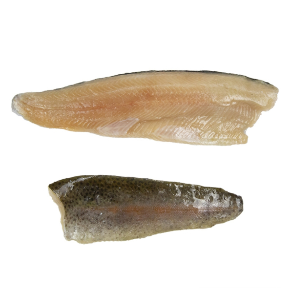 Trout fillet (Oncorhynchus Mykiss)