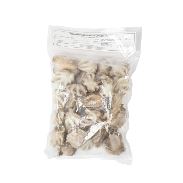 Baby octopus (Octopus membranaceus)