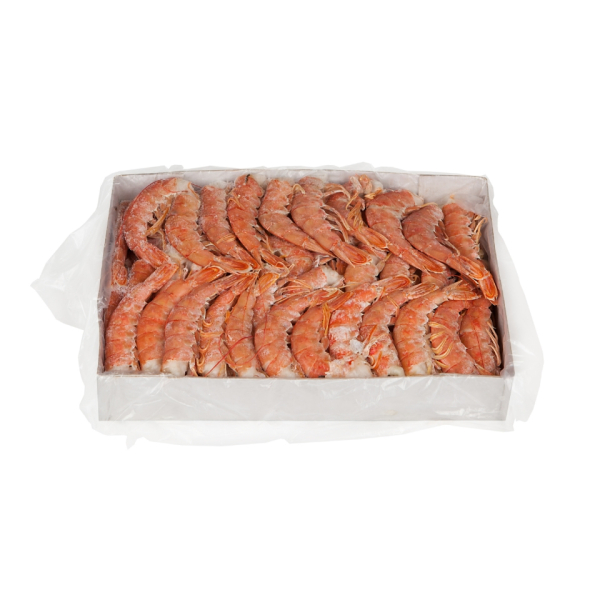 Argentinian red shrimps – tails (Pleoticus muelleri)